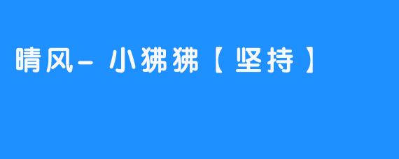 坚持不懈，晴风小狒狒勇攀高峰