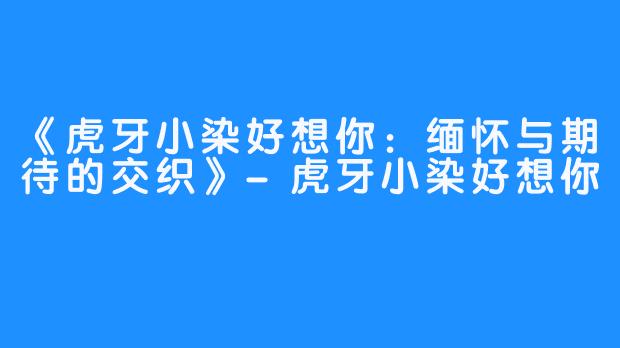 《虎牙小染好想你：缅怀与期待的交织》-虎牙小染好想你