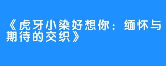 《虎牙小染好想你：缅怀与期待的交织》