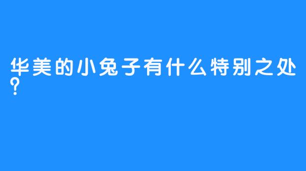 华美的小兔子有什么特别之处？