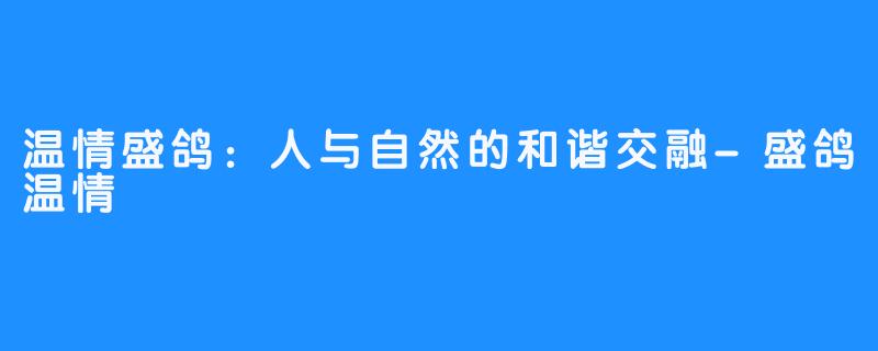 温情盛鸽：人与自然的和谐交融-盛鸽温情